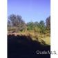 0 NW 147 Ct, Williston, FL 32696 ID:4190472