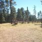 16446 N. Hwy 87 & APN 407-08-002, Payson, AZ 85541 ID:1591496