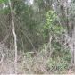 Lot 2 NE 51st Place, Williston, FL 32696 ID:4190580