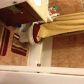 6601 SW 41ST PL # 7-50, Fort Lauderdale, FL 33314 ID:613132