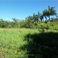 115 SW AVE, Fort Lauderdale, FL 33325 ID:94390