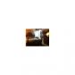 6960 MIAMI GARDENS DR # 2-427, Hialeah, FL 33015 ID:452907
