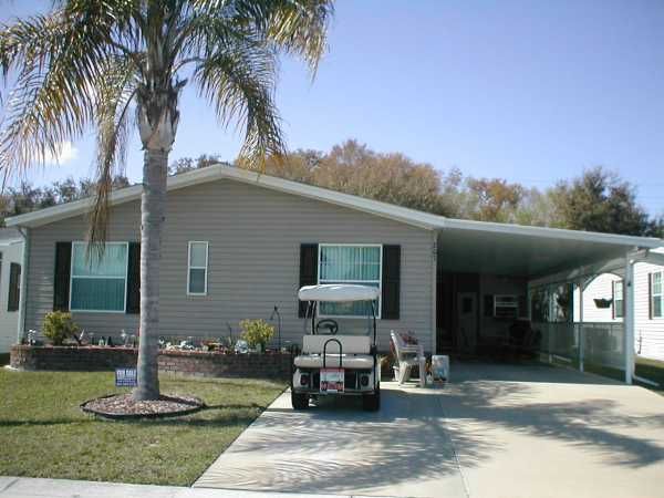 207 Tiger Lilly Drive, Parrish, FL 34219