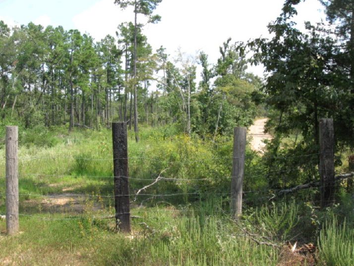 40 acres N GR 715, Paragould, AR 72450