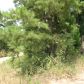 40 acres N GR 715, Paragould, AR 72450 ID:1168961