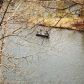 12 TALANA LN, Bella Vista, AR 72715 ID:1161722