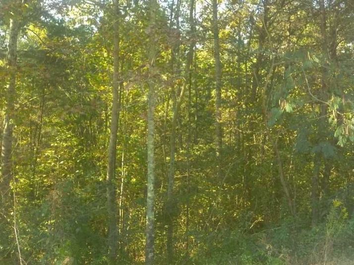 0 Chow Lot 86 Lane, Ellijay, GA 30540