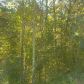 0 Chow  Lot 86 Lane, Ellijay, GA 30540 ID:3133918