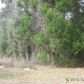 Lot 3 NE 51st Place, Williston, FL 32696 ID:4190563
