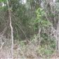 Lot 3 NE 51st Place, Williston, FL 32696 ID:4190568