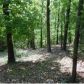 00 Lake View Dr, Eureka Springs, AR 72631 ID:1162479