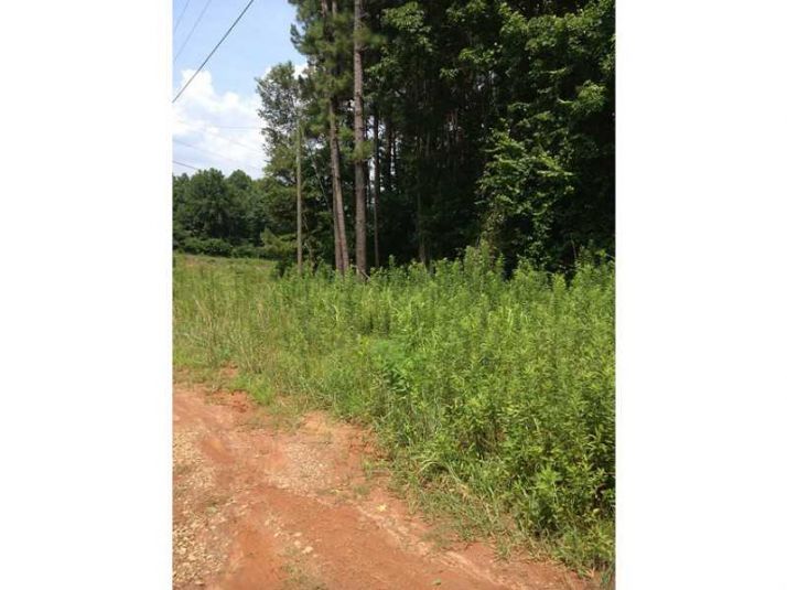 0 Mountain View Road, Carnesville, GA 30521