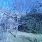 1374 Greenbriar Ln, Lancaster, TX 75146 ID:5033496