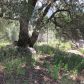 17595 Wallis Dr, Grass Valley, CA 95949 ID:1147267