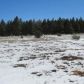 916 Birdsong Way, Lakeside, AZ 85929 ID:3225867
