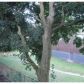43 Stellman Rd #1, Roslindale, MA 02131 ID:475511