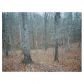 4431 Giddon Martin Road, Gainesville, GA 30506 ID:6041207