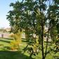 413 Forest Park Boulevard #11, Oxnard, CA 93036 ID:1151634