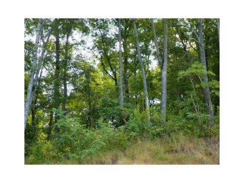 2194 Bugscuffle Spur, Hiawassee, GA 30546