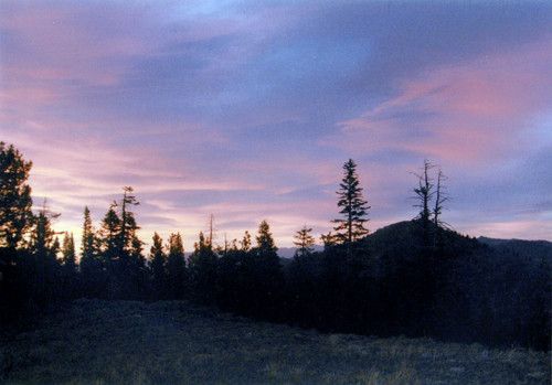 000 Genoa Peak Road, Minden, NV 89423