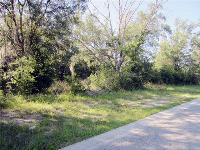 VISTA VIEW WAY, Oviedo, FL 32765