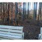 4017 Bent Willow Lane, Woodstock, GA 30189 ID:3940811