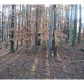 4017 Bent Willow Lane, Woodstock, GA 30189 ID:3940812