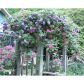 630 Orme Circle Ne, Atlanta, GA 30306 ID:2600271