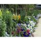 630 Orme Circle Ne, Atlanta, GA 30306 ID:2600272