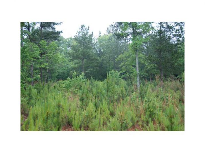 0 Cain Creek Overlook, Ball Ground, GA 30107