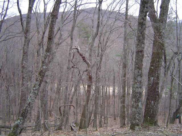 3150 Crippled Oak Trail, Jasper, GA 30143