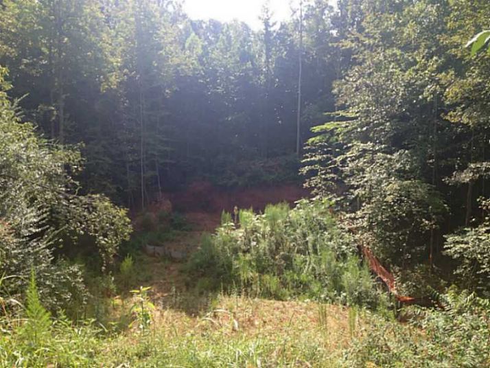 1715 Heritage Drive, Cumming, GA 30041