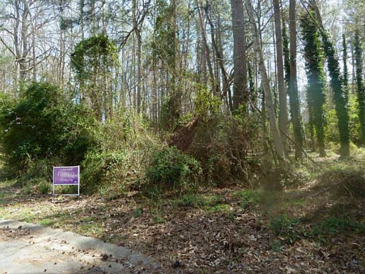 1932 Sawyer Court, Snellville, GA 30078