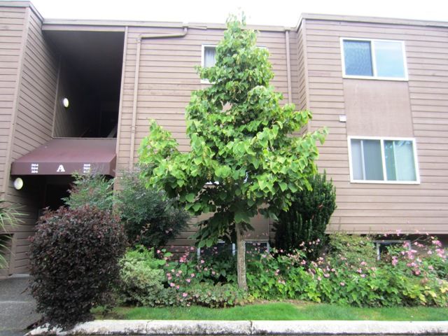 5844 NE 75th Street Unit A302, Seattle, WA 98115