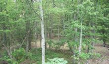 0 Johnson Lane Menlo, GA 30731