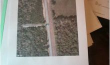 28945 Highway157 And Gilreath Highway Menlo, GA 30731