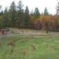 20828 Dog Bar Rd., Grass Valley, CA 95949 ID:1147444