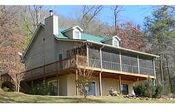 Bear, Hiawassee, GA 30546