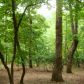 107 Fox Den Circle, Jasper, GA 30143 ID:2445998