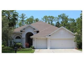 10441 Greendale Drive, Tampa, FL 33626
