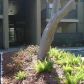 425 Wymore Rd 107, Altamonte Springs, FL 32714 ID:1809354