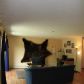 1260 Gold Rush Drive, Fairbanks, AK 99709 ID:1361707