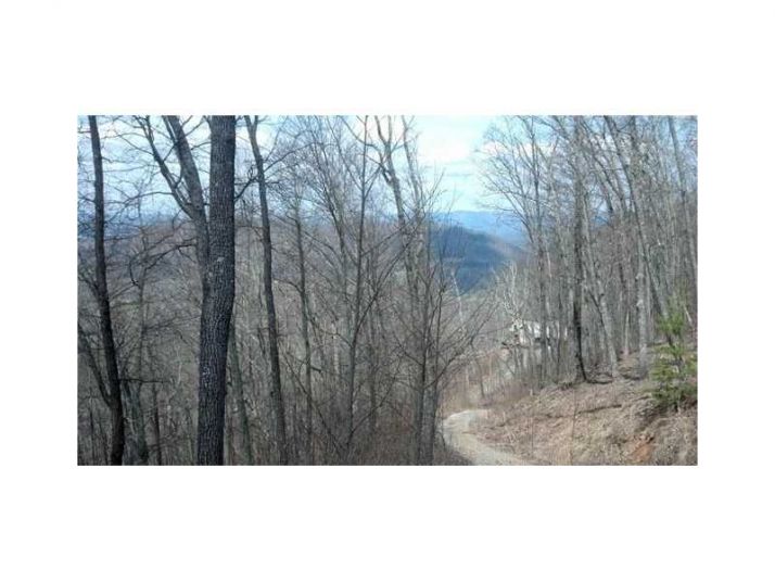 13 Jump Off Ridge, Hiawassee, GA 30546