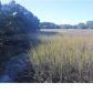 0 CEDAR POINT DR, Charleston, SC 29412 ID:1904897