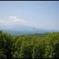 733 Big Bear Ridge Rd Rd, Gatlinburg, TN 37738 ID:992301