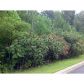 105 Black Knob Falls Drive, Ranger, GA 30734 ID:2443893