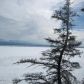 9334 W. Robert Road, Wasilla, AK 99654 ID:1080021