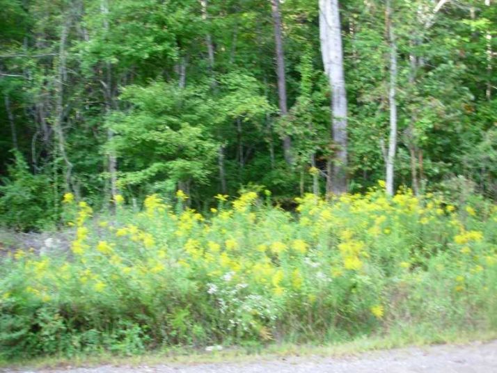 0 Broken Lance Road, Dahlonega, GA 30533