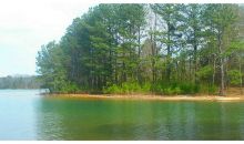 0 T W Henderson Road Cumming, GA 30041