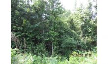 0 Liberty Church Road Bremen, GA 30110